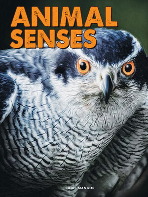 cover image of Animal Senses